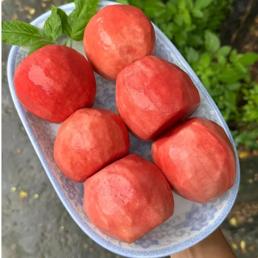 đ„Rouge Guava otthoni termesztĆkĂ©szletâïž