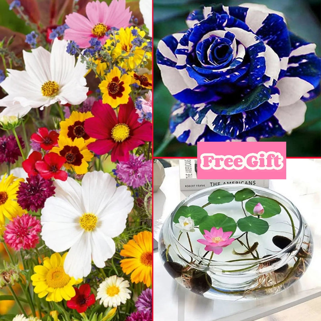 đ„Az akciĂł utolsĂł napjađVegyes Ă©velĆ virĂĄgmagok - több mint 60 vegyes fajta