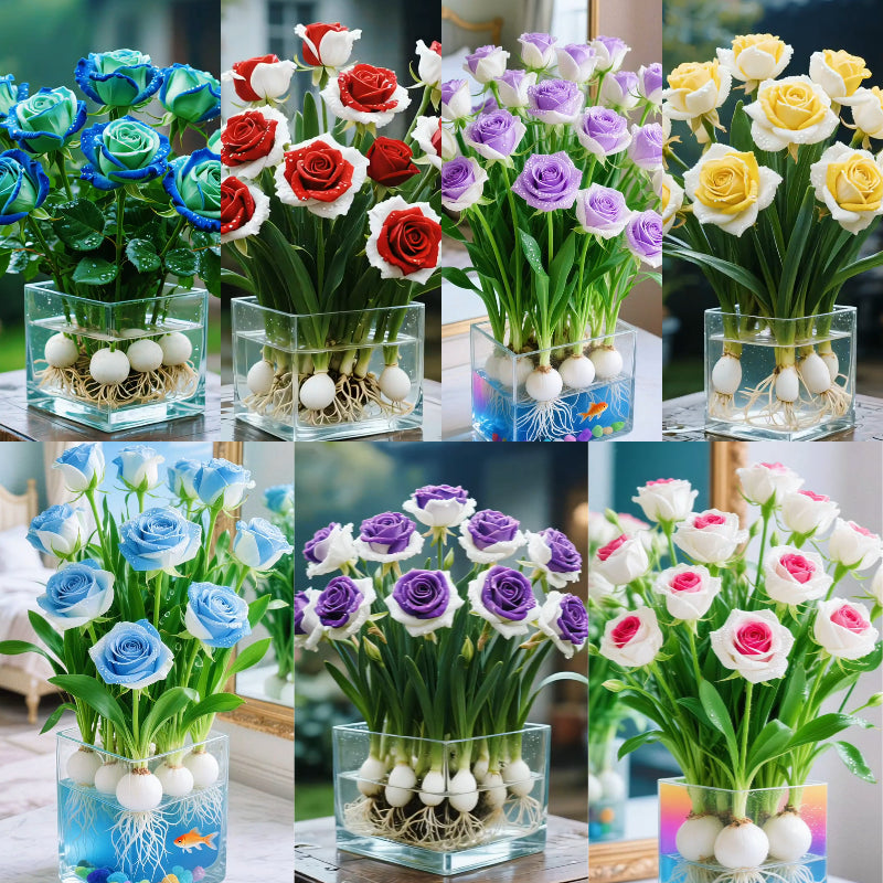 đHidropĂłnikus, ritka, kĂ©tszĂnƱ rĂłzsahagymĂĄk: a termĂ©szet szĂnes csodĂĄja đč