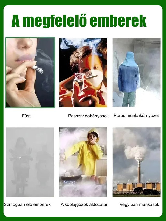 【Szárazságtűrő mérgekirály】Platina-gyémánt-zöld hercegnő nagy levelű cserepes növény