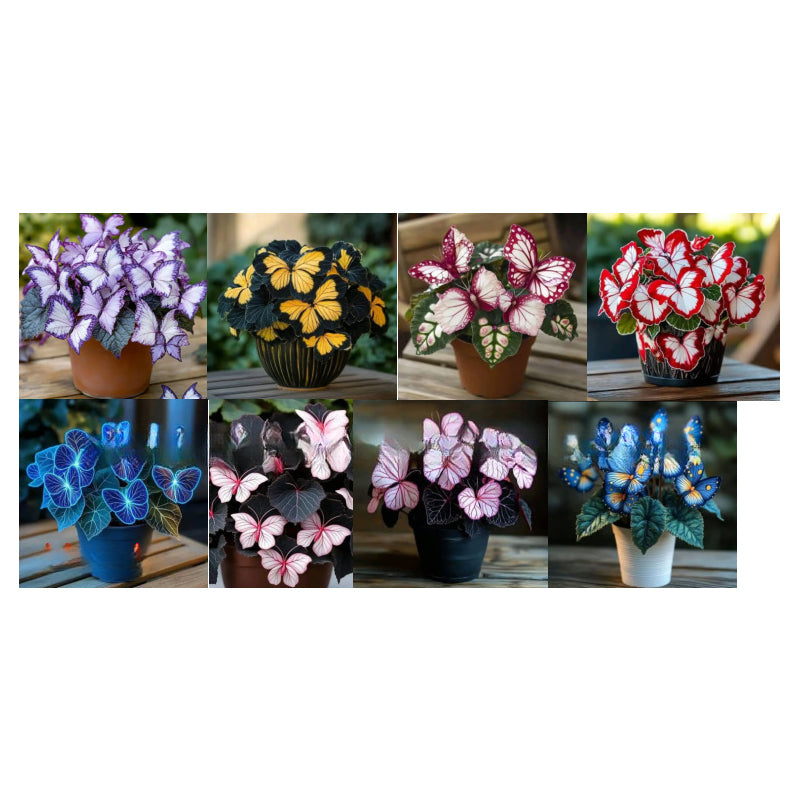 Díszes pillangó alakú virágmagok