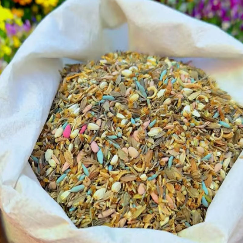 🔥Az akció utolsó napja💐Vegyes évelő virágmagok - több mint 60 vegyes fajta