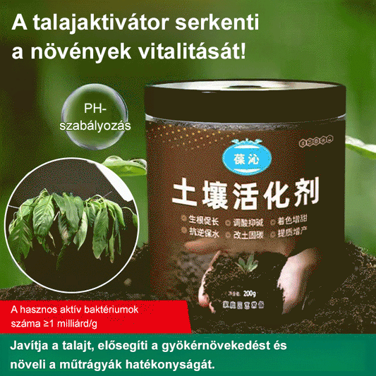 [Tiktok Hot Style] Holtfa virágzás-talajaktivátor-kondicionálás