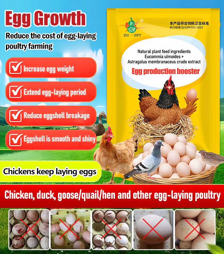【2/4/6/8 db.】 🦆🐓Táplálékkiegészítő csirke-, kacsa- és libatojástermeléshez. Táplálékkiegészítő etetéshez.