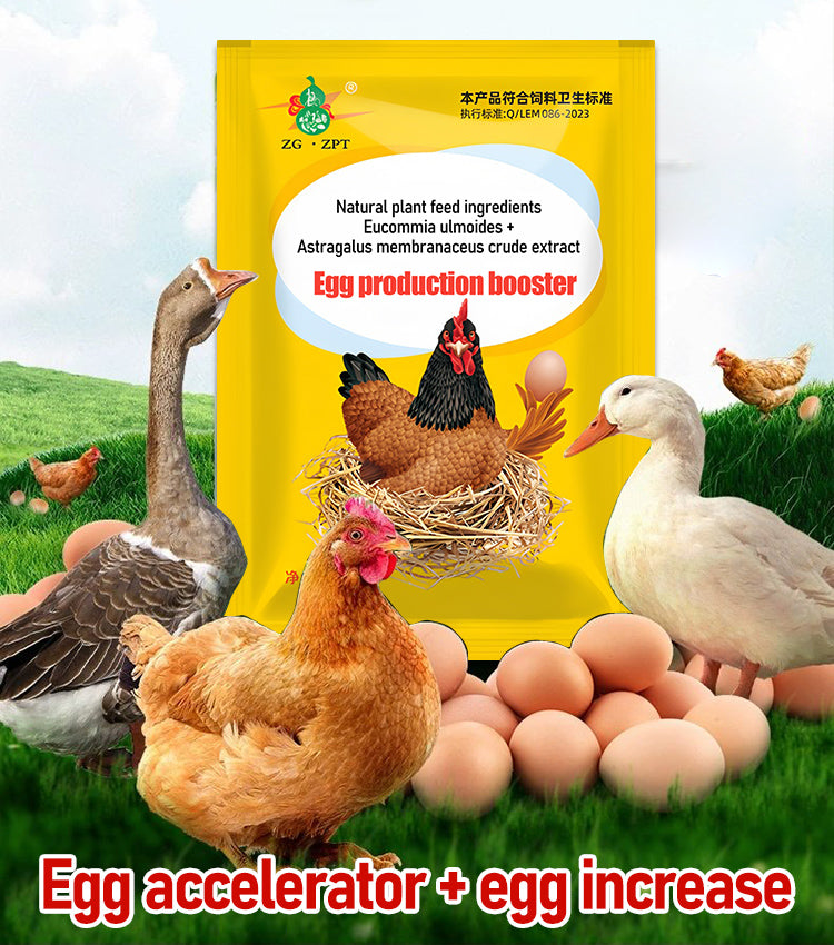 【2/4/6/8 db.】 🦆🐓Táplálékkiegészítő csirke-, kacsa- és libatojástermeléshez. Táplálékkiegészítő etetéshez.