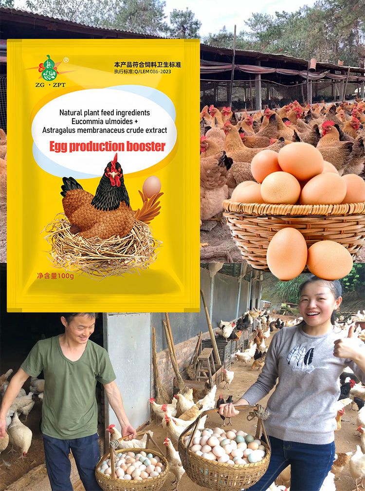 【2/4/6/8 db.】 🦆🐓Táplálékkiegészítő csirke-, kacsa- és libatojástermeléshez. Táplálékkiegészítő etetéshez.