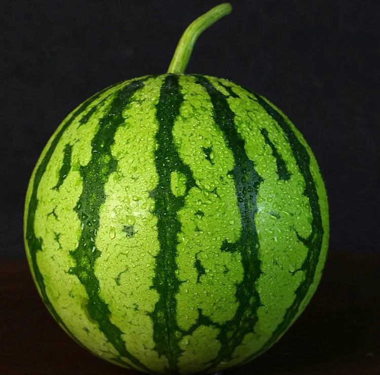 🍉Kora tavaszi vörös jáde – egy édes görögdinnye, amely az egész családot el fogja kápráztatni