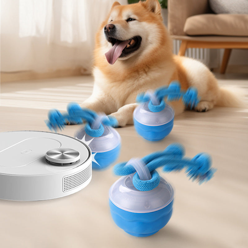 🐶Interaktív elektronikus nyugtatólabda háziállatoknak